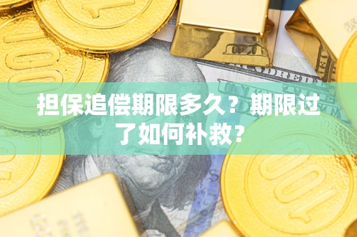 济南担保追偿期限多久？期限过了如何补救？
