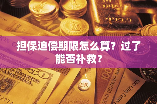 济南担保追偿期限怎么算？过了能否补救？